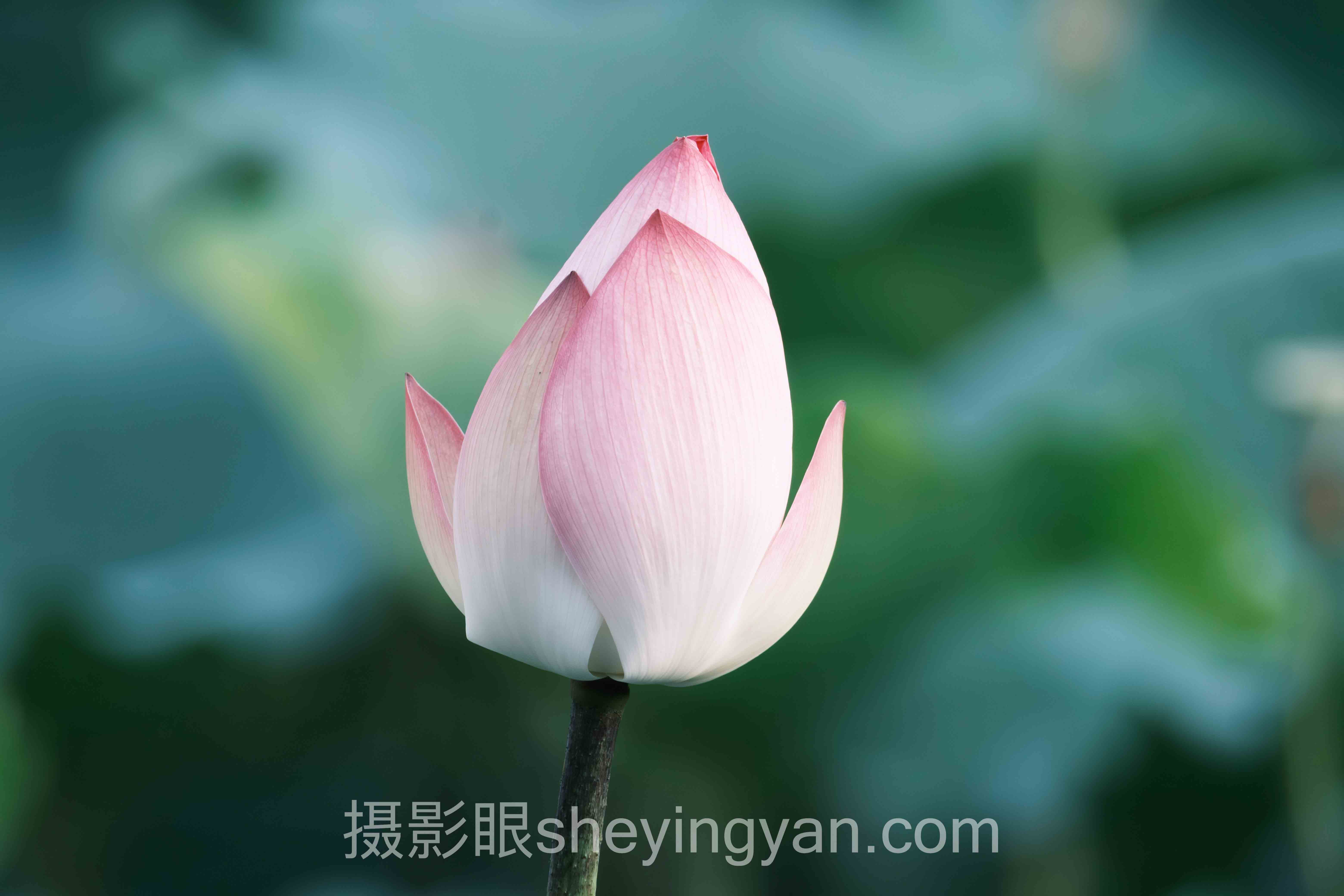 对话行业专家：展览馆怎么拍的关键洞察与前瞻