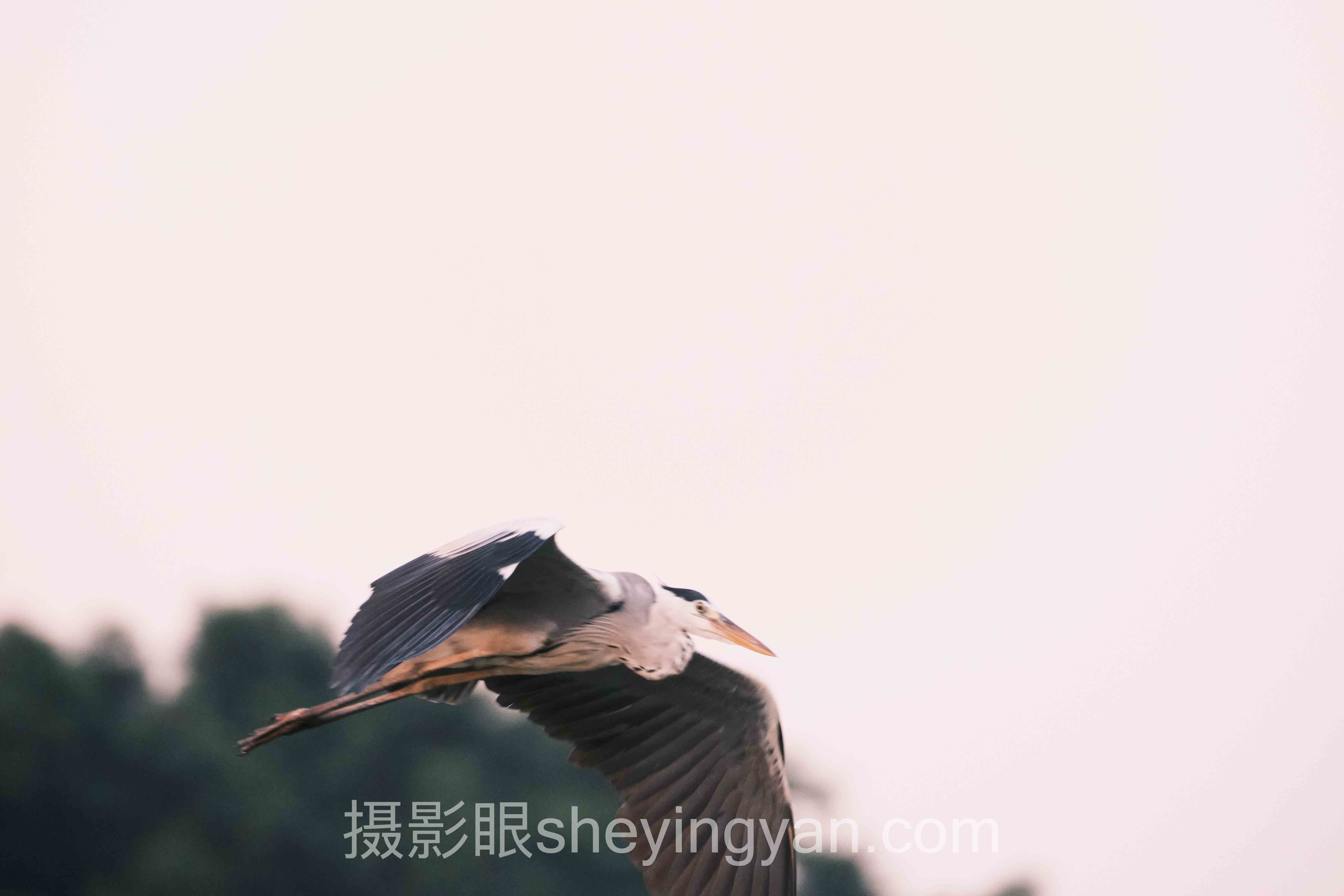 提高摄影认知多少钱