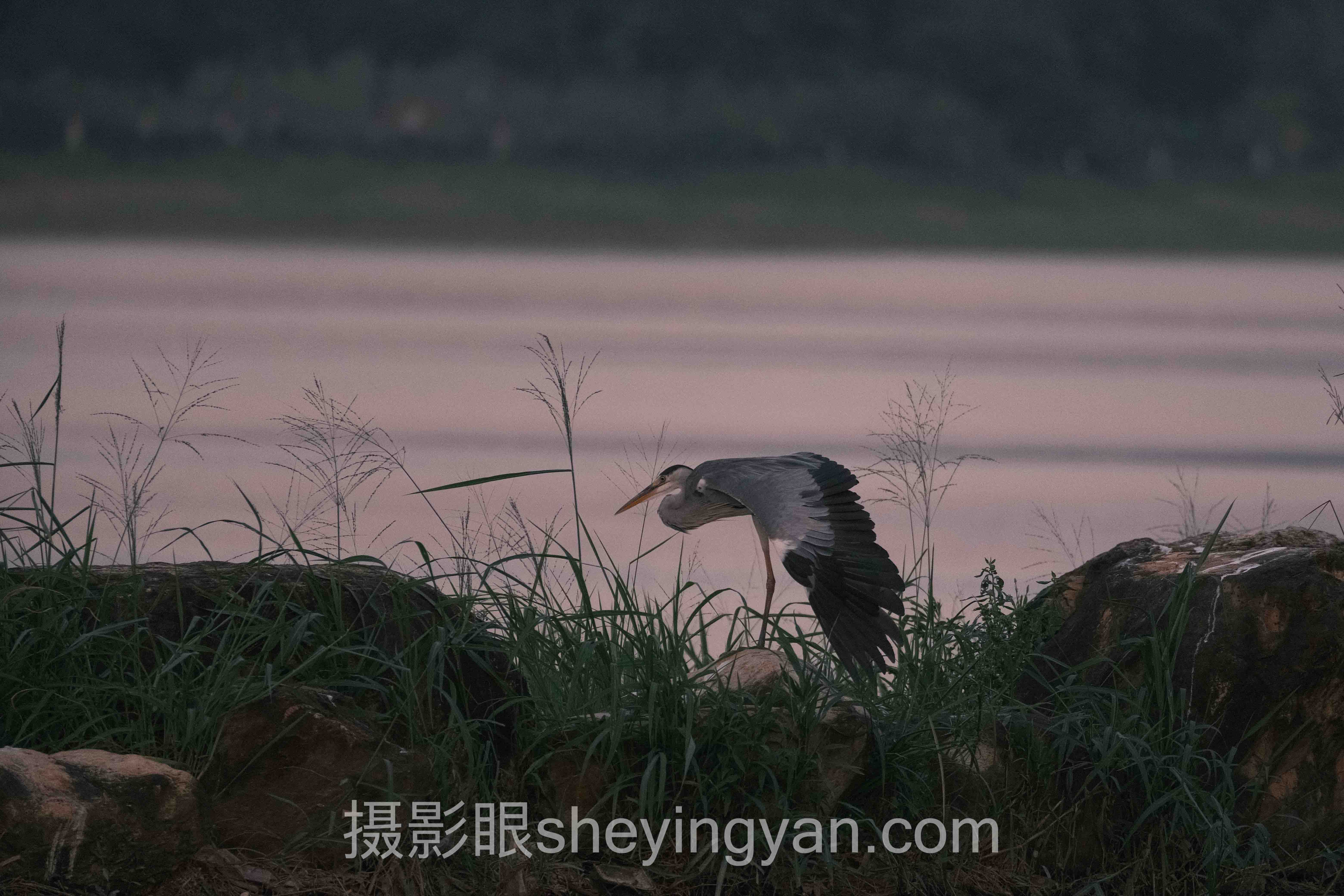 摄影眼免费测试平台十人谈：多位专家的核心观点汇总