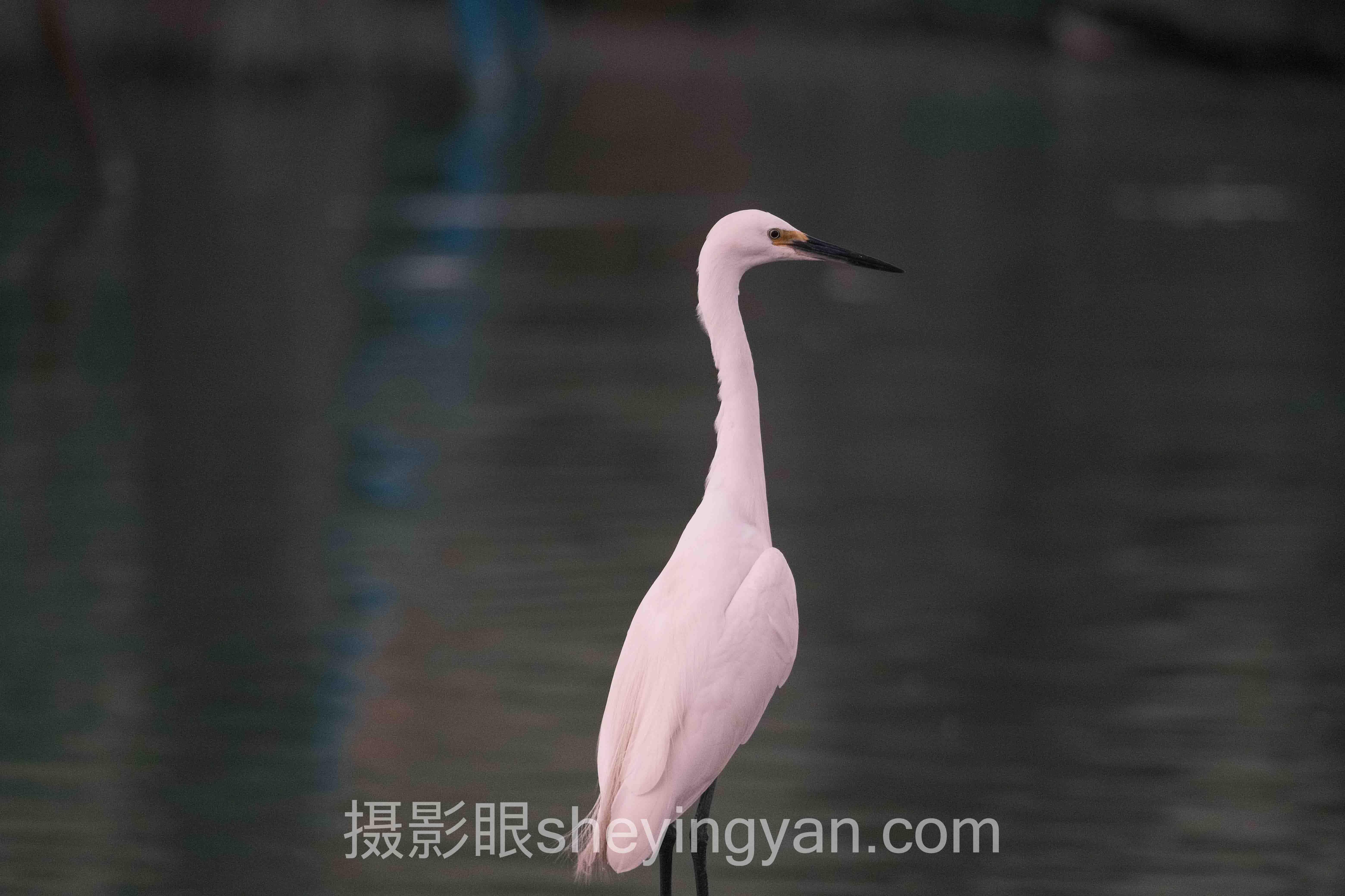 导师工坊线下实战讲解