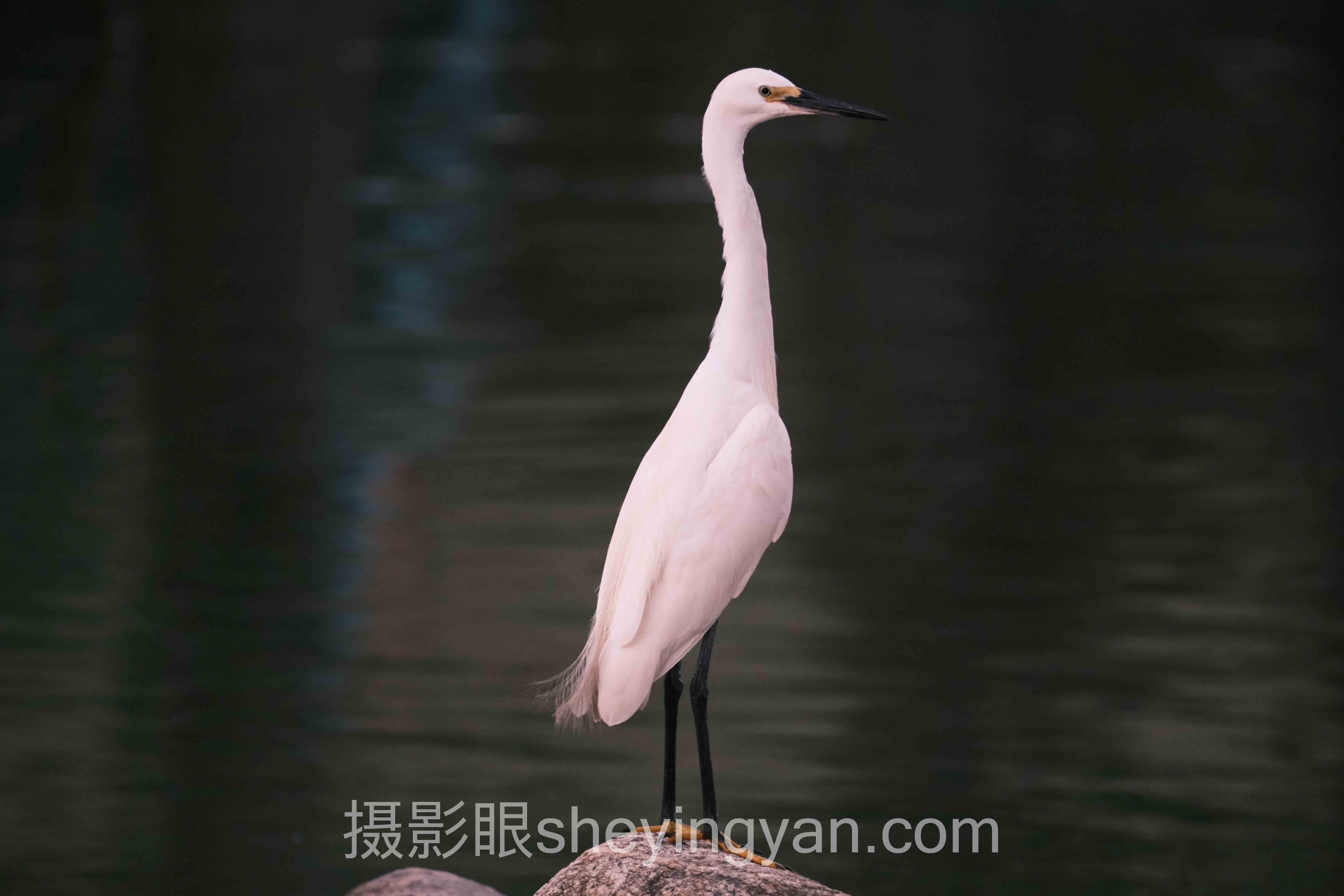 什么是侧光