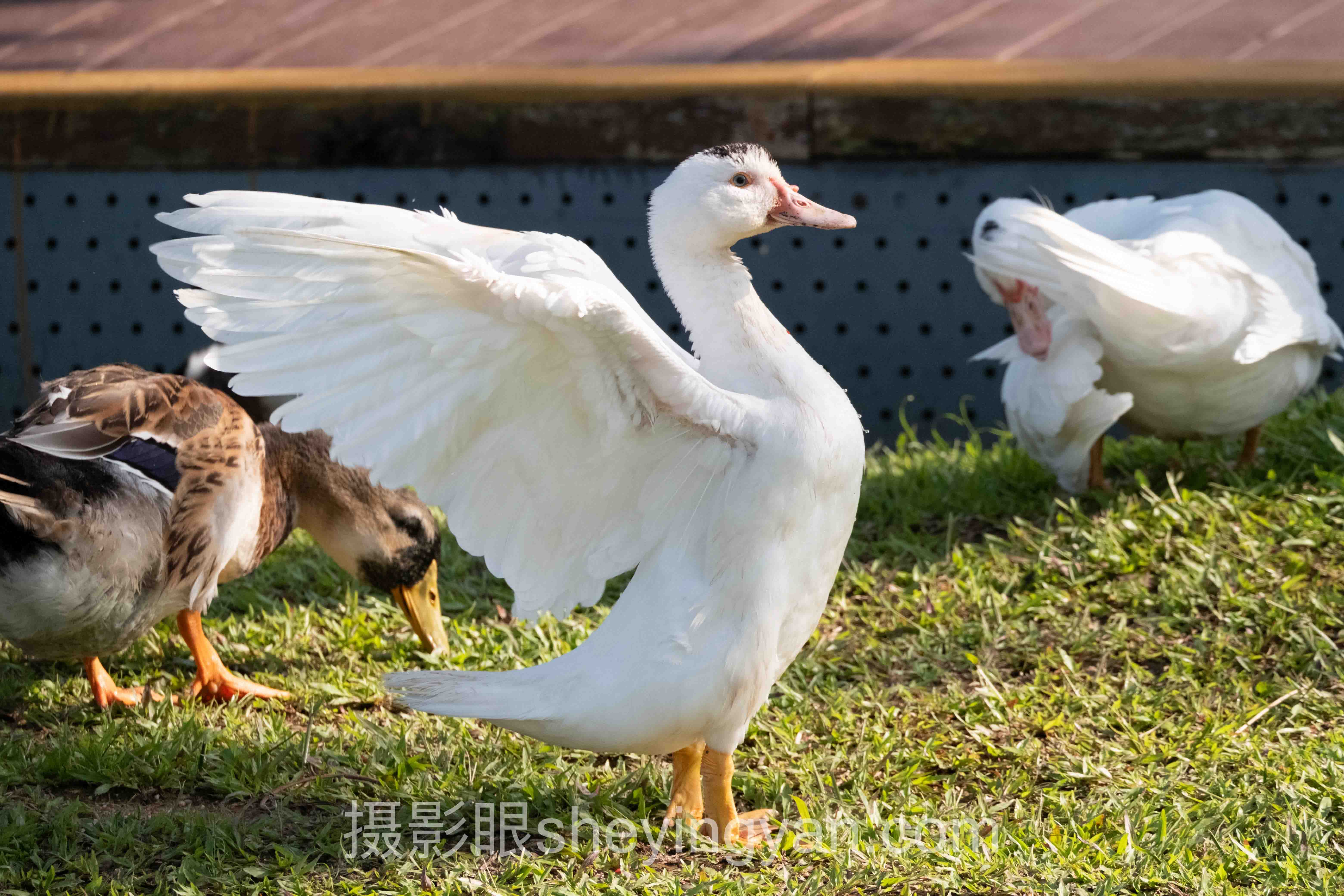 风光摄影导师正在点评作品