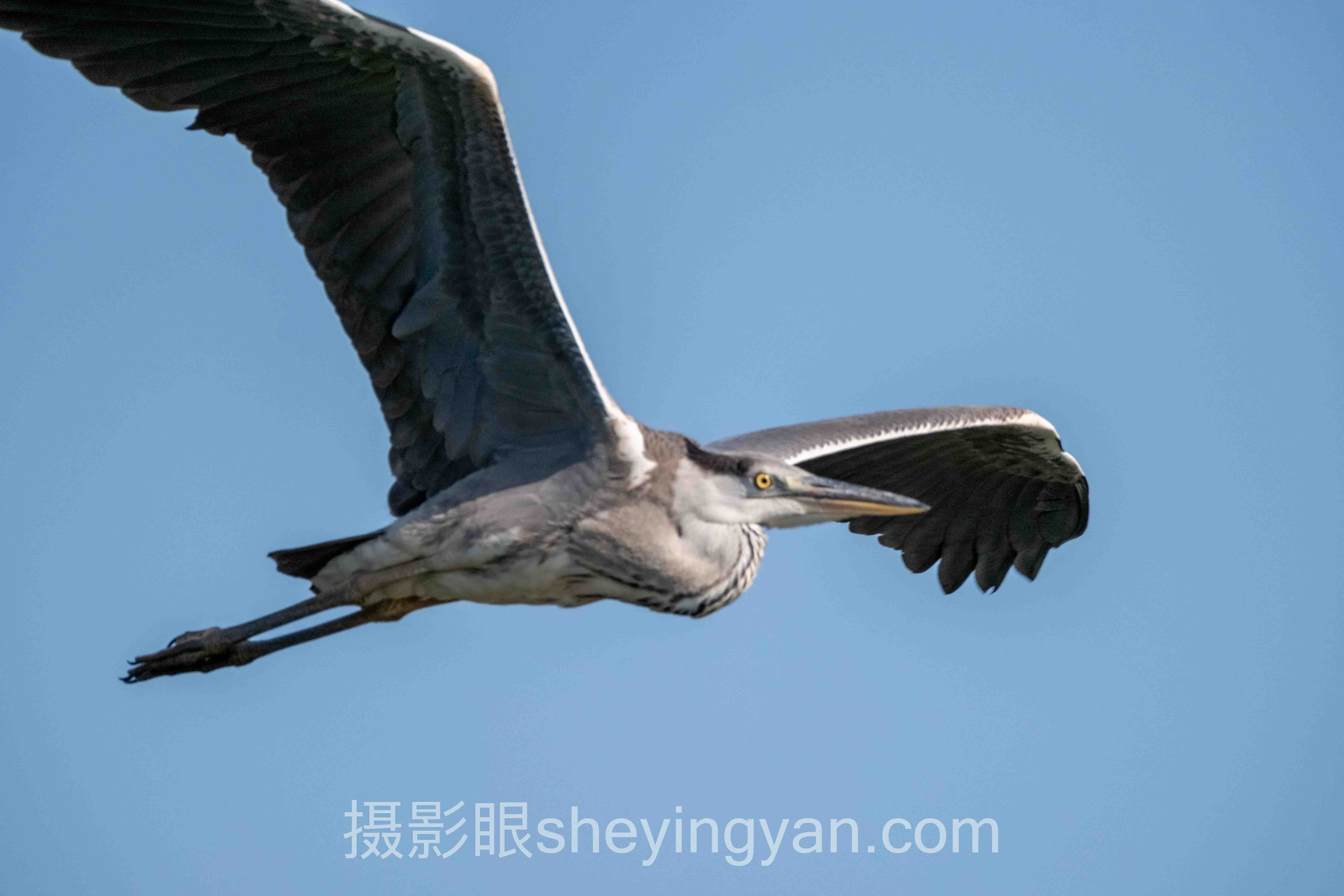 对话行业专家：北京摄影眼测试机构的关键洞察与前瞻
