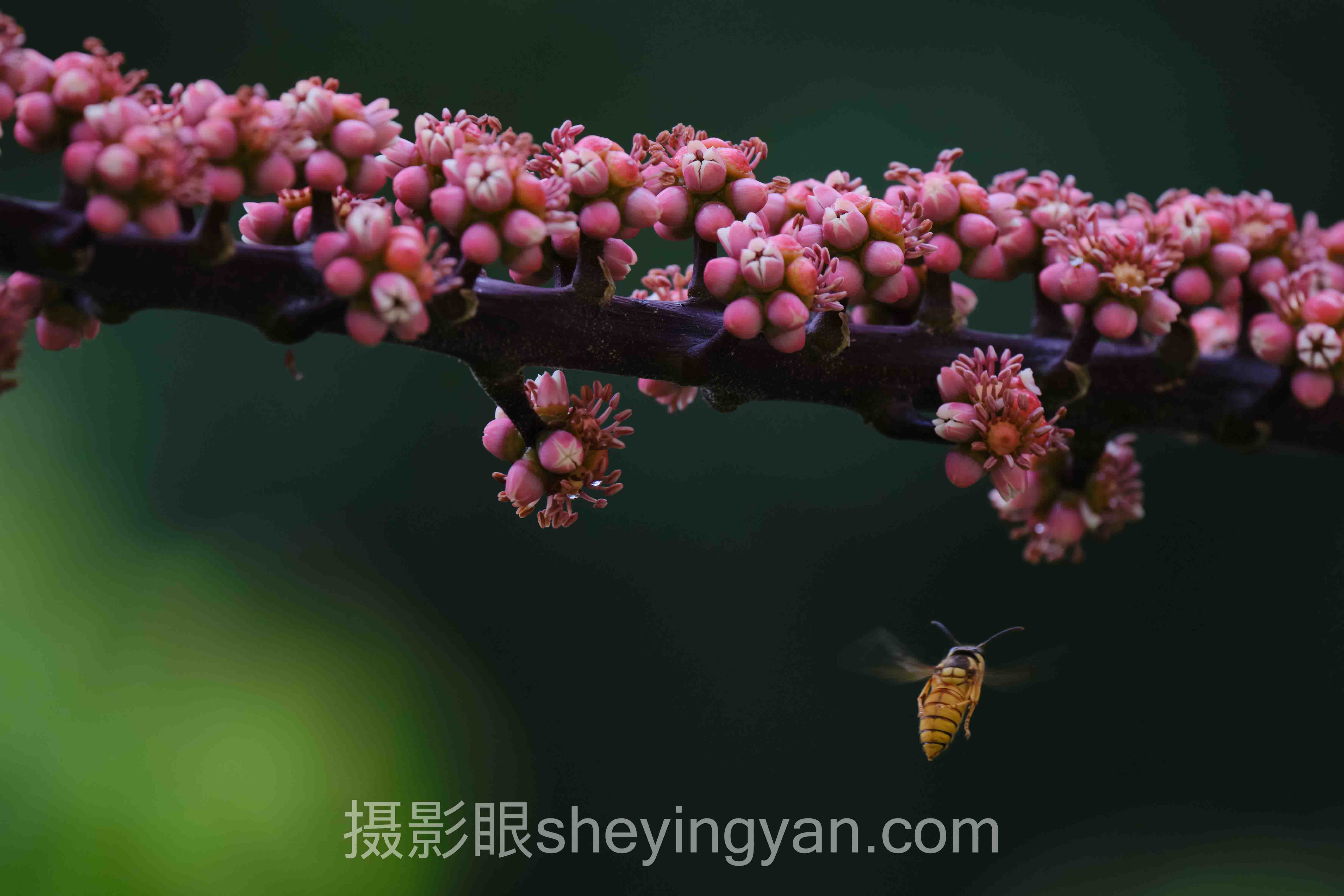 摄影审美风格分类十人谈：多位专家的核心观点汇总