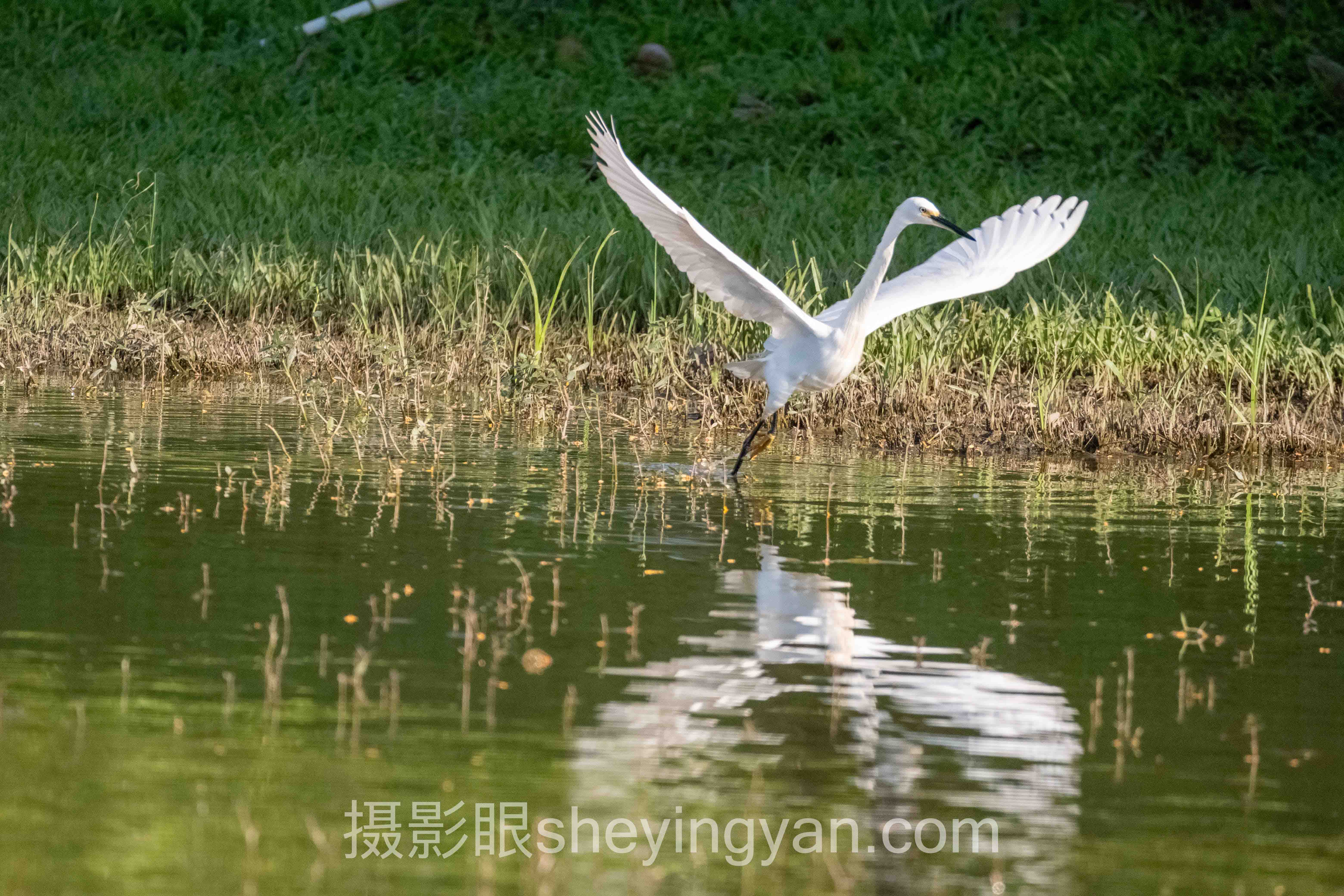 摄影眼月卡价格对比十人谈：多位专家的核心观点汇总